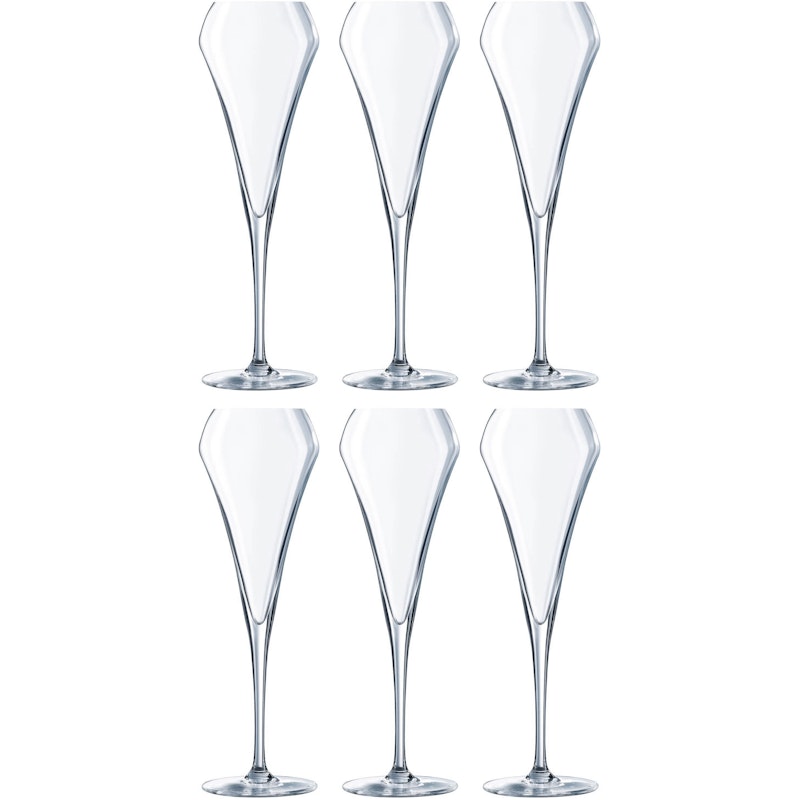 Open Up Champagne Glass 20 cl 6 pack
