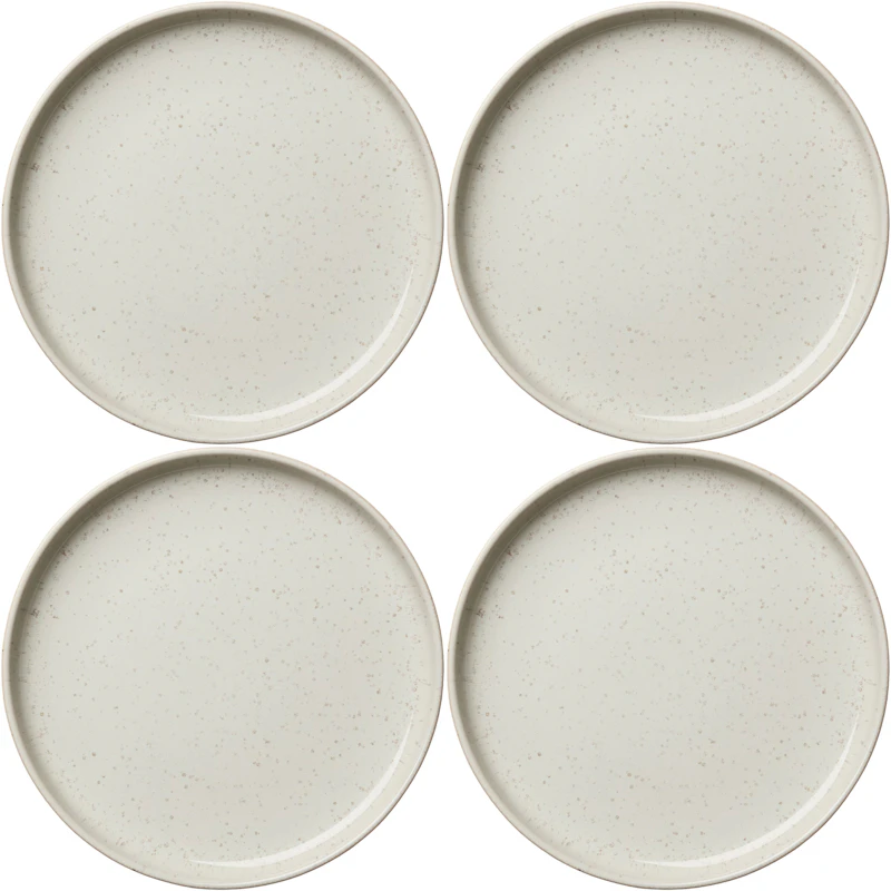 BON Plate 22 cm 4-pack, Steam