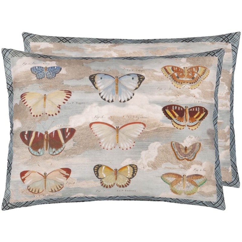 Butterfly Studies Cushion 45x60 cm, Parchment