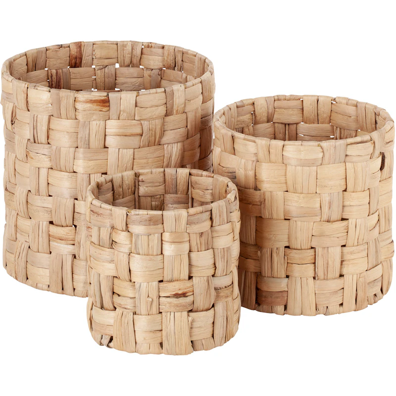 Cylinder panama Lily Baskets, 3-pack