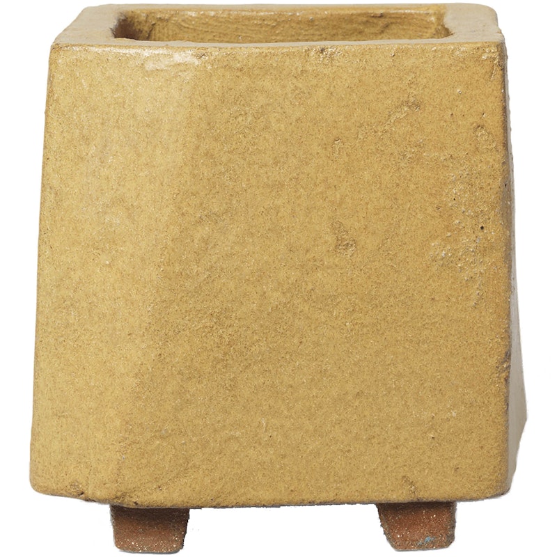 Kurinu Pot Terracotta, Honey