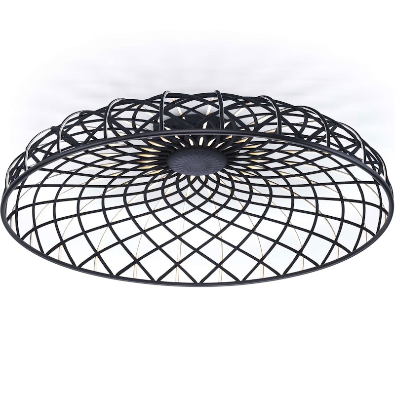 Skynest C Flush Ceiling Light, Anthracite