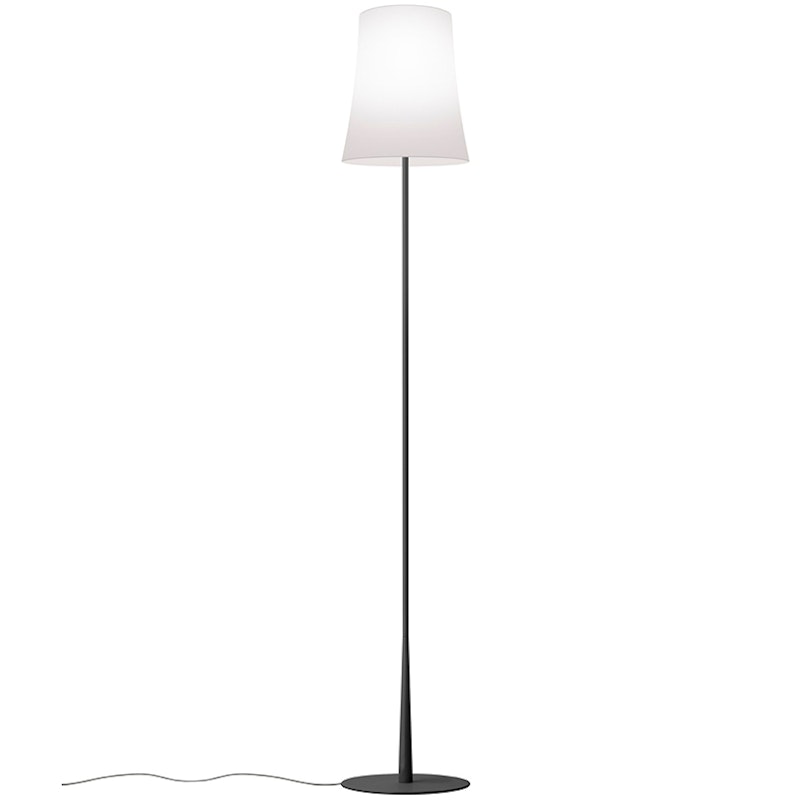 Birdie Easy Floor Lamp, Matte black