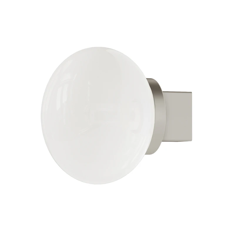 Ovoid Wall Lamp, Stainless Steel