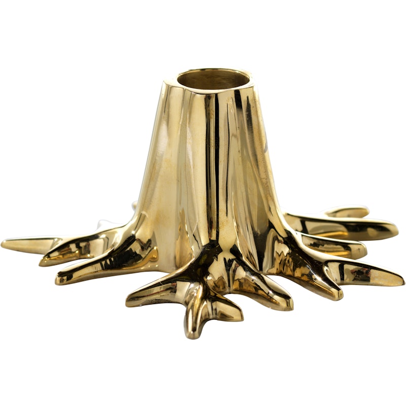 The Root Candle Holder, Solid Brass