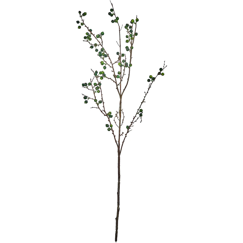 Decor Branch, Green