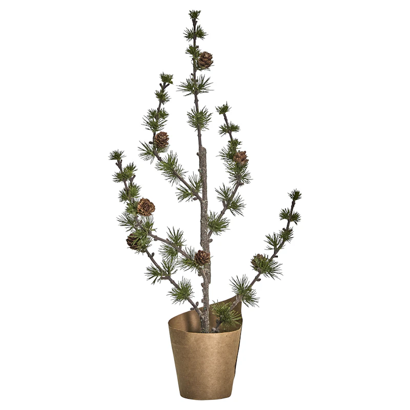 Stay Christmas Tree, Green