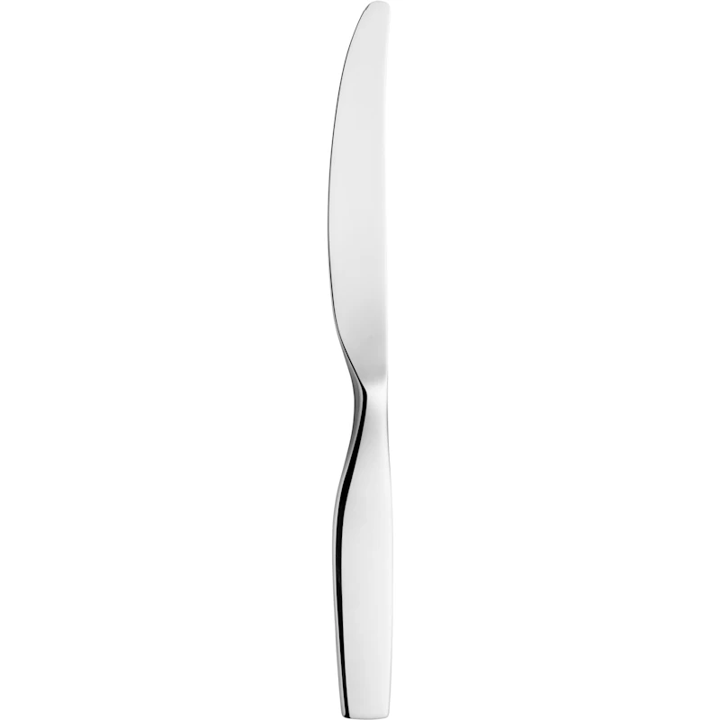 Citterio 98 dinner knife polished