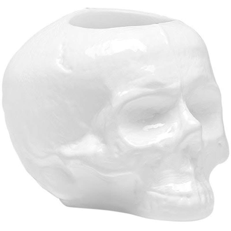 Still Life Skull Lantern, White