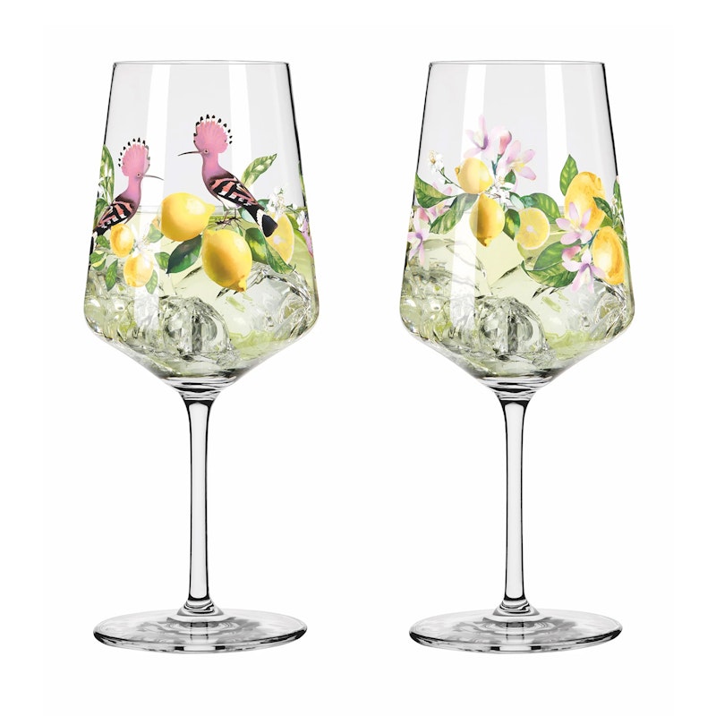 Sommertau Wine Glasses 2-pack, F24