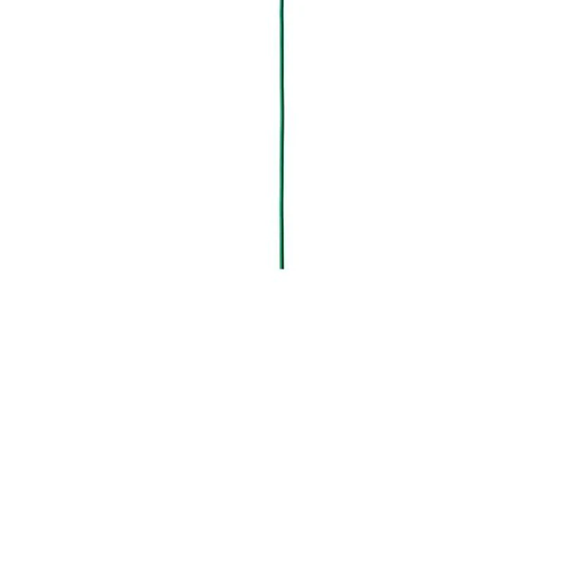Fabric Cord 600 cm Signal Green