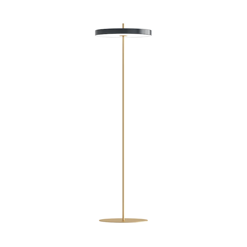 Asteria Floor Lamp, Anthracite