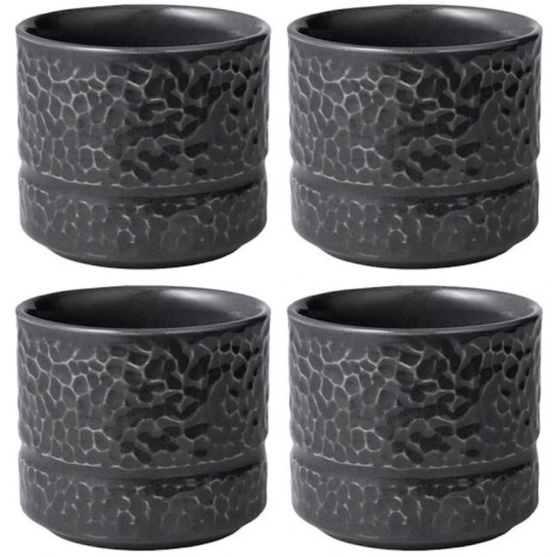 Servisen C Tumbler 26 cl 4-pack, Anthracite