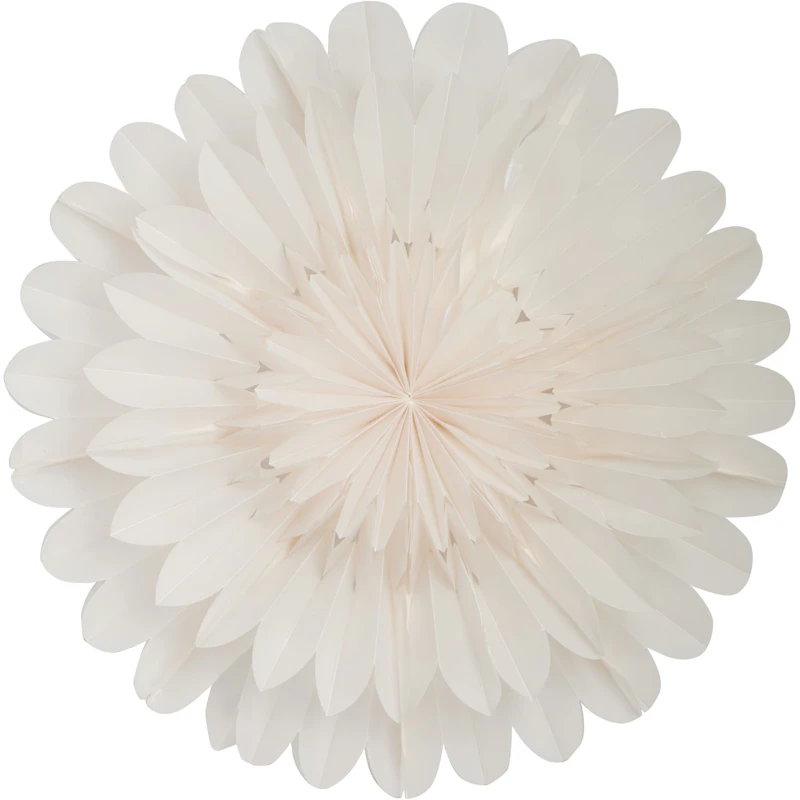 Lotus 60 Christmas Star, White