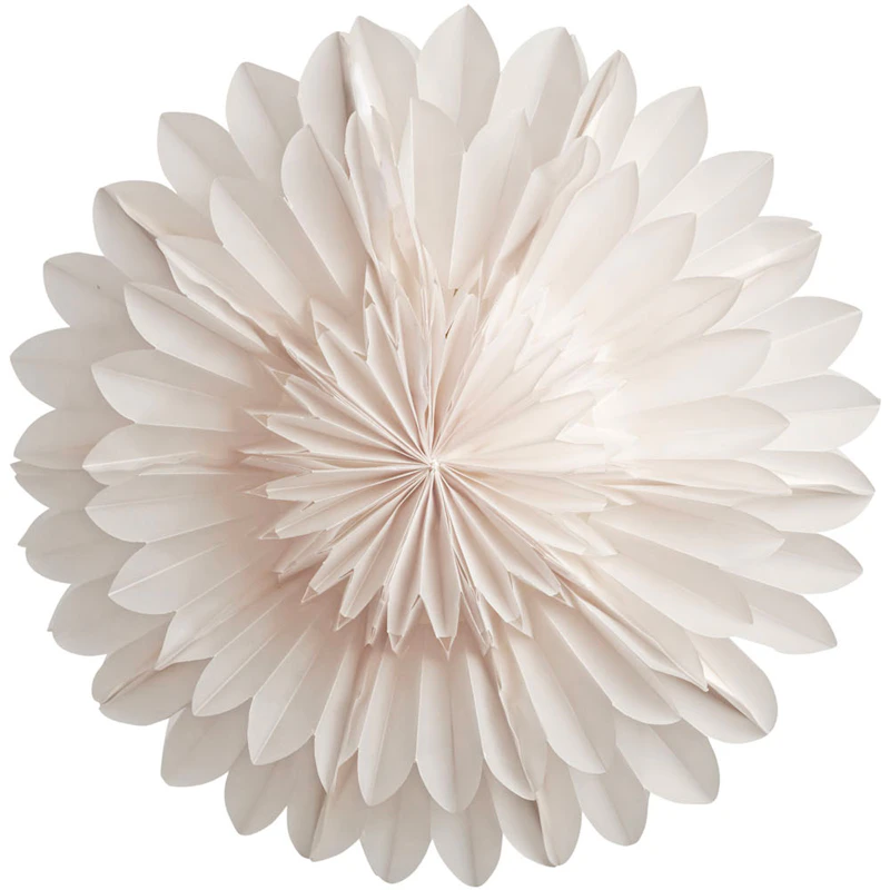 Lotus 44 Christmas Star, White